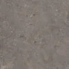 Darwin taupe