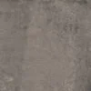 Darwin taupe