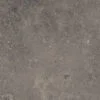 Darwin taupe