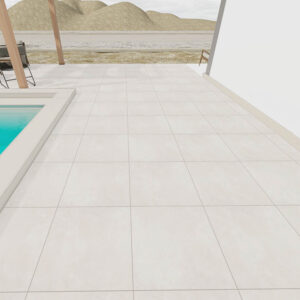 Asota White-PLAIN