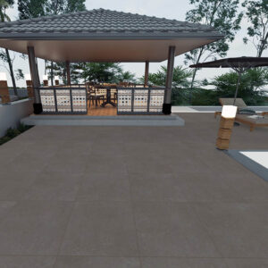 Darwin Taupe